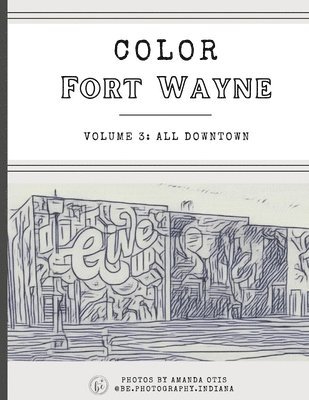 Amanda Otis - Color Fort Wayne Volume Three, Häftad