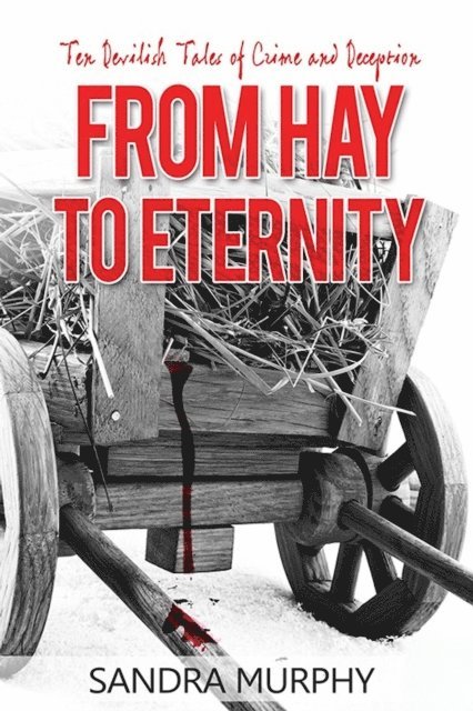 Sandra Murphy - From Hay to Eternity, E-bok