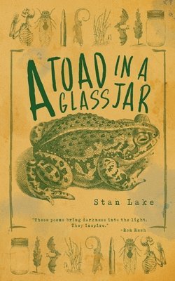 Stan Lake, Keith Walter Dow - Toad in a Glass Jar, Häftad