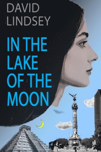 David Lindsey - In the Lake of the Moon, E-bok