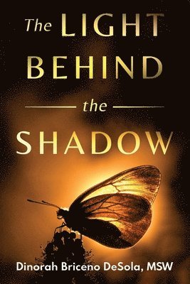 Dinorah Briceno Desola - Light Behind the Shadow, Häftad