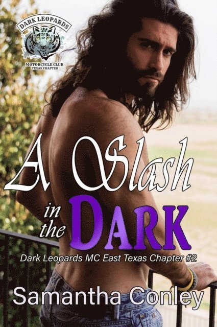 Samantha Conley - Slash in the Dark, E-bok