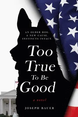 Joseph Bauer - Too True To Be Good, Häftad. Tillgänglighet: Lägg i varukorg