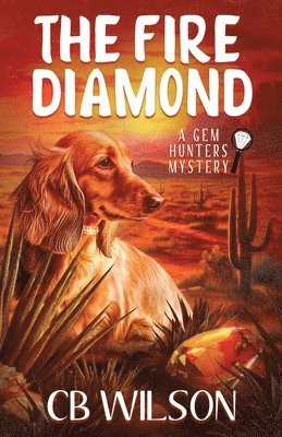 C B Wilson - Fire Diamond, Häftad