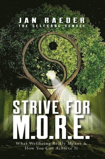 Jan Raeder - Strive for M.O.R.E., E-bok