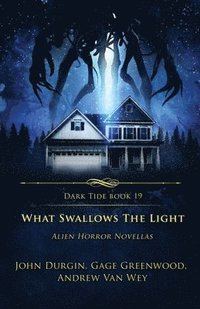 What Swallows the Light