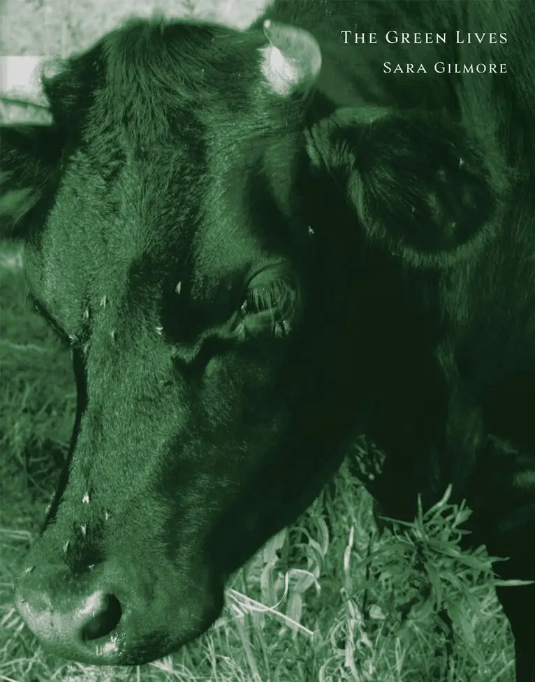 Sara Gilmore - Green Lives, Häftad. Tillgänglighet: Lägg i varukorg