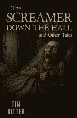 Tim Ritter - Screamer Down the Hall, Häftad