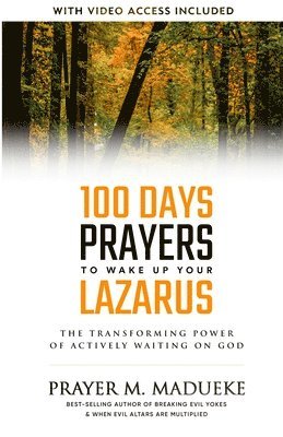 Prayer M Madueke - 100 Days Prayers to Wake Up Your Lazarus in 2023, Häftad