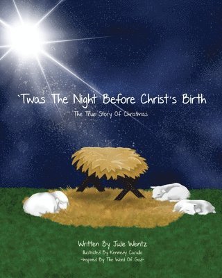 Julie Wentz - 'Twas the Night Before Christ's Birth, Häftad