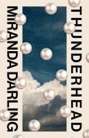 Miranda Darling - Thunderhead, Häftad. Tillgänglighet: Lägg i varukorg