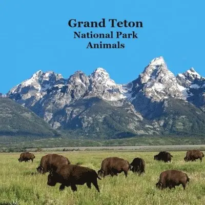 Kinsey Marie, National Parks Books, Billy Grinslott - Grand Teton National Park Animals Kids Book, Häftad. Tillgänglighet: Tillfälligt slut