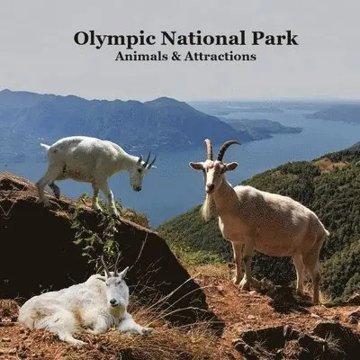Kinsey Marie, National Parks Books, Billy Grinslott - Olympic National Park Animals and Attractions Kids Book, Häftad. Tillgänglighet: Lägg i varukorg