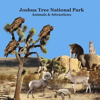 Kinsey Marie, National Parks Books, Billy Grinslott - Joshua Tree National Park Animals and Attractions Kids Book, Häftad. Tillgänglighet: Lägg i varukorg