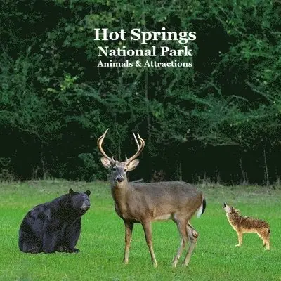Kinsey Marie, National Parks Books, Billy Grinslott - Hot Springs National Park Animals and Attractions Kids Book, Häftad. Tillgänglighet: Lägg i varukorg