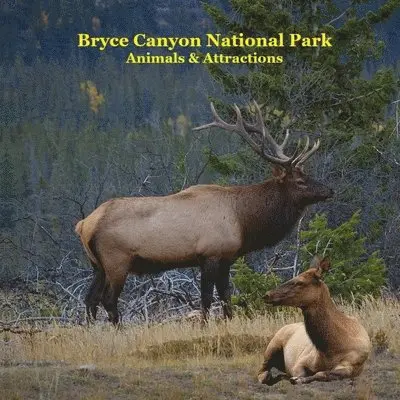 Kinsey Marie, National Parks Books, Billy Grinslott - Bryce Canyon National Park Animals Attractions Kids Book, Häftad. Tillgänglighet: Tillfälligt slut