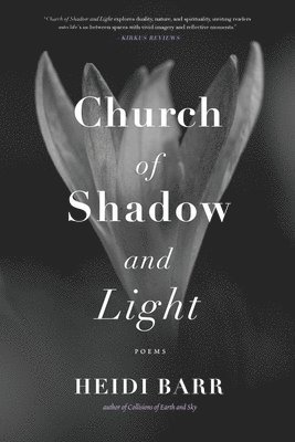 Heidi Barr - Church of Shadow and Light, Häftad. Tillgänglighet: Lägg i varukorg