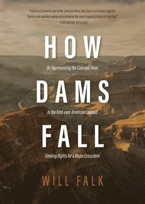 Will Falk - How Dams Fall, Häftad. Tillgänglighet: Lägg i varukorg