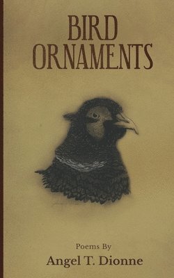 Angel T Dionne - Bird Ornaments, Häftad