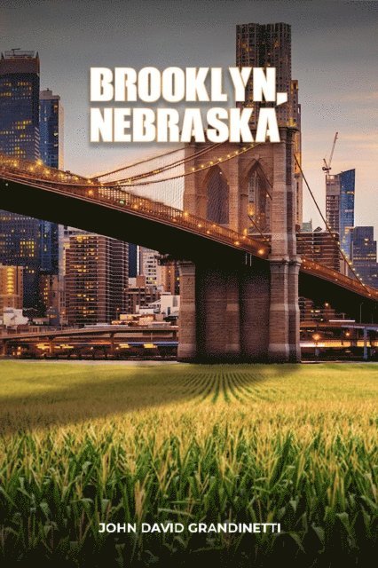 John David Grandinetti - Brooklyn, NE, E-bok