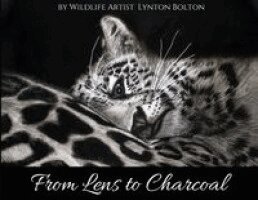 Lynton Bolton - From Lens To Charcoal, Häftad