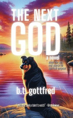 B T Gottfred - Next God, Häftad