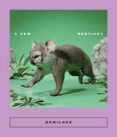 Andrés Barba, Marcin Czub, Anna Dodas Noguer, Alejandra Kamiya, Sunwoo Lim, Akhtar Mohiuddin, Dorothy Tse, Ming-Yi Wu, Xiu Zhang, Sarah Coolidge - Bewilder, Häftad
