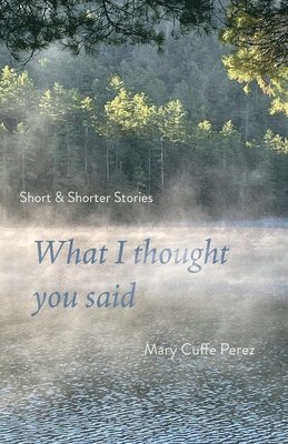 Mary Cuffe Perez - What I Thought You Said, Häftad