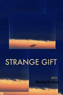 Veronica Kornberg - Strange Gift, Häftad. Tillgänglighet: Lägg i varukorg