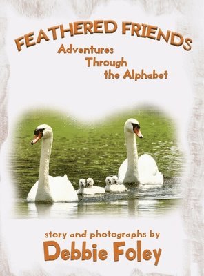 Debbie Foley - Feathered Friends, Inbunden