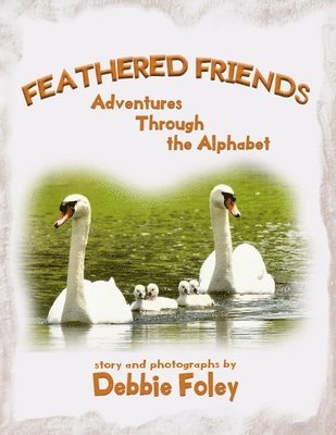 Debbie Foley - Feathered Friends, Häftad