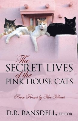 D R Ransdell - Secret Lives of the Pink House Cats, Häftad. Tillgänglighet: Lägg i varukorg