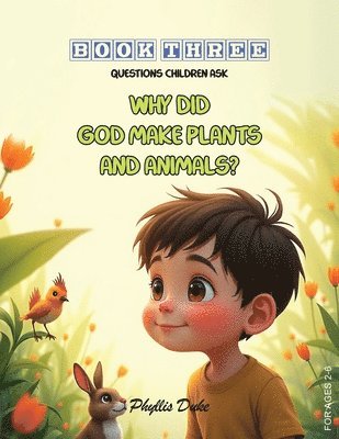 Phyllis L Duke - Why Did God Make Plants and Animals?, Häftad