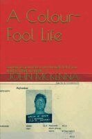 John McKenna - Colour-FOOL Life, Häftad