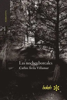 Carlos Ávila Villamar - noches boreales, Häftad. Tillgänglighet: Lägg i varukorg