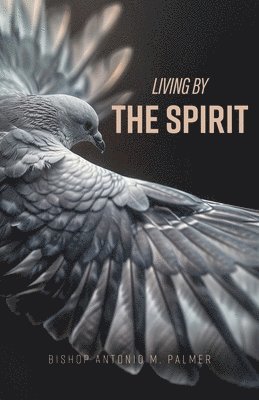 Antonio M Palmer - Living By The Spirit, Häftad. Tillgänglighet: Lägg i varukorg
