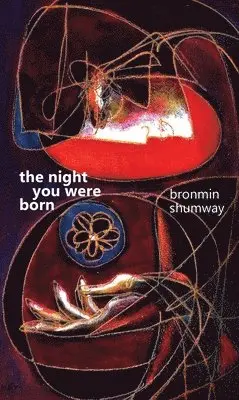Bronmin Shumway - Night You Were Born, Häftad. Tillgänglighet: Lägg i varukorg