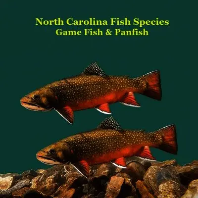 North Carolina Game Fish and Panfish Species Kids Book