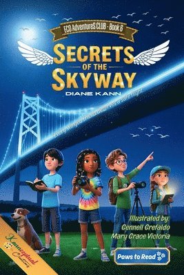 Diane Kann - Secrets of the Skyway, Häftad