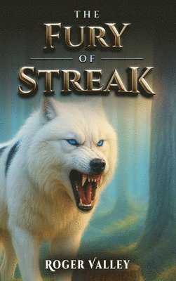 Roger Valley - Fury of Streak, Inbunden