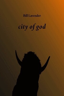 Bill Lavender - city of god, Häftad. Tillgänglighet: Lägg i varukorg