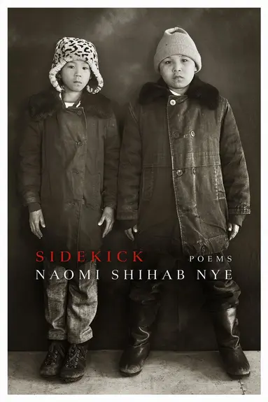 Sidekick