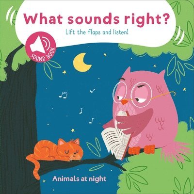 Little Genius Books - What Sounds Right? - Animals At Night, Kartonnage. Tillgänglighet: Lägg i varukorg