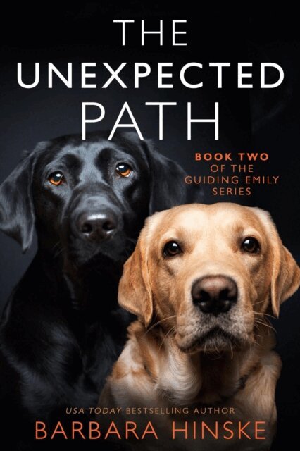Barbara Hinske - Unexpected Path, E-bok