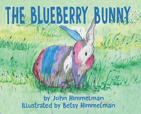 Himmelman - Blueberry Bunny, Inbunden