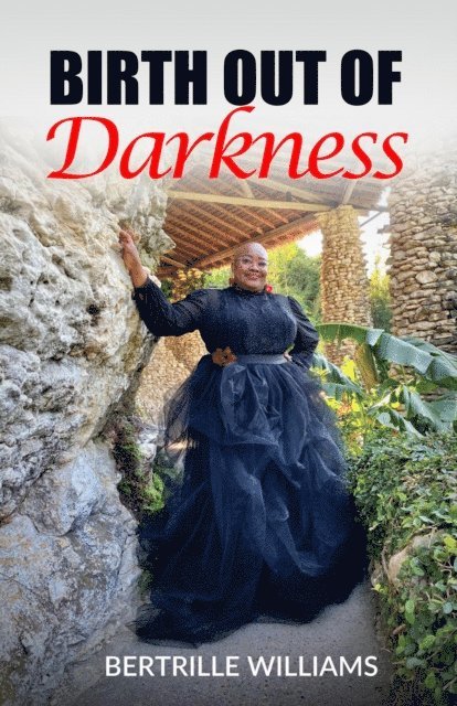 Bertrille Williams - Birth Out of Darkness, E-bok
