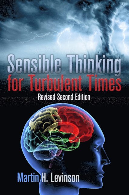 Martin H. Levinson - Sensible Thinking for Turbulent Times, E-bok