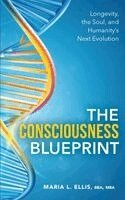 Bba Mba Ellis - Consciousness Blueprint, Häftad. Tillgänglighet: Lägg i varukorg