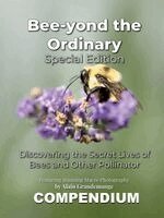 Alain Grandemange, Alandrea Publishing - Bee-yond the Ordinary, Häftad. Tillgänglighet: Lägg i varukorg