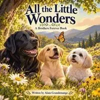 Alain Grandemange, Alandrea Puublishing - All the Little Wonders, Häftad. Tillgänglighet: Lägg i varukorg